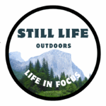 Still Life Outdoors — Life In Focus